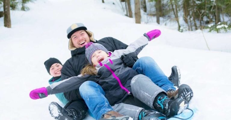 Day Tour: Snow Monkeys & Snow Fun in Shiga Kogen Quick Takeaways