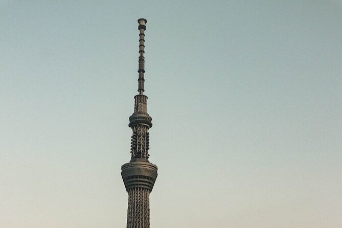 1 Day Tokyo Private Tour With English Speaking Guide - Tour Details