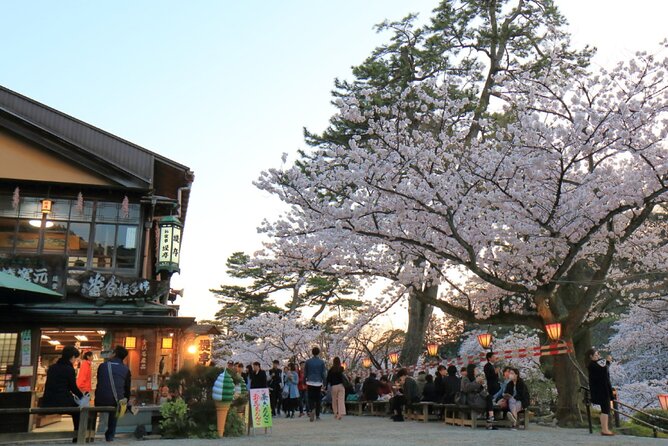 4 Hour Unique Kanazawa Cherry Blossom Sakura Private Experience - Itinerary Overview