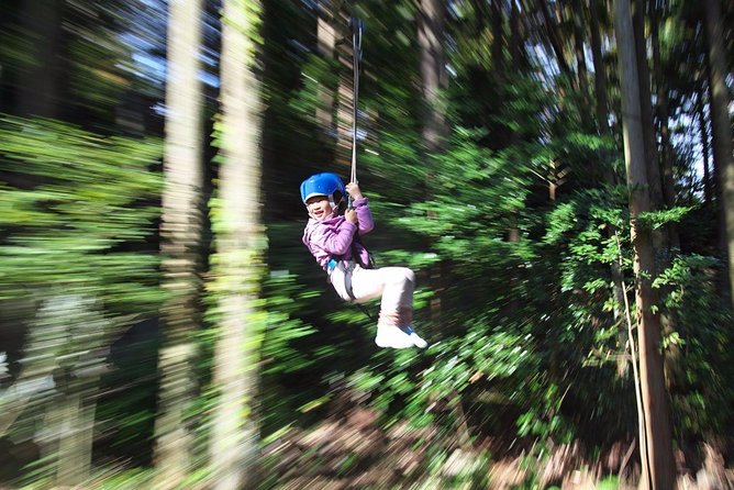 Aerial Athletics (Zipline Adventure) Booking Information