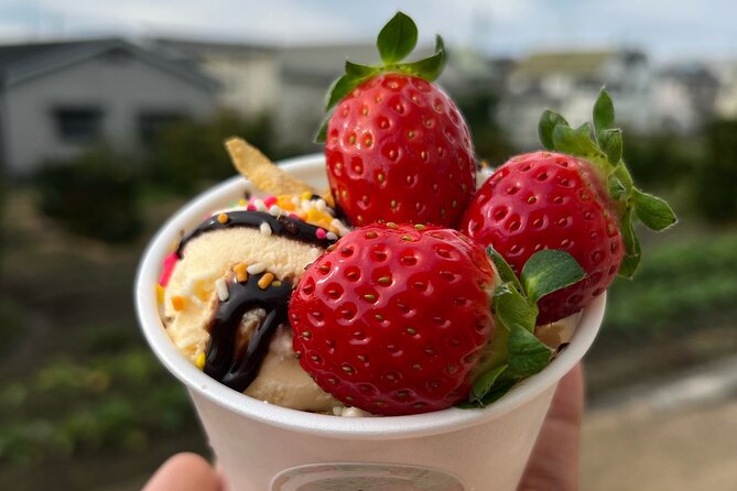 All You Can Eat Strawberry Picking in Izumisano Osaka Pricing and Booking