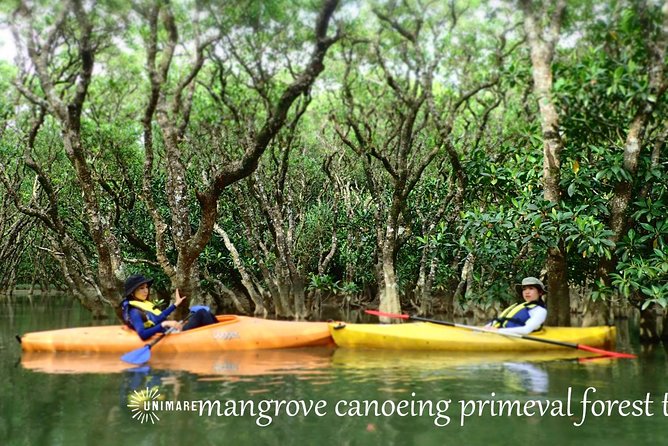 Amami Mangrove Canoe Inclusions and Services