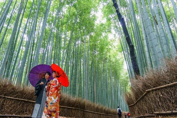 Arashiyama Bamboo Grove Day Trip From Kyoto With a Local: Private & Personalized Exploring the Enchanting Bamboo Groves