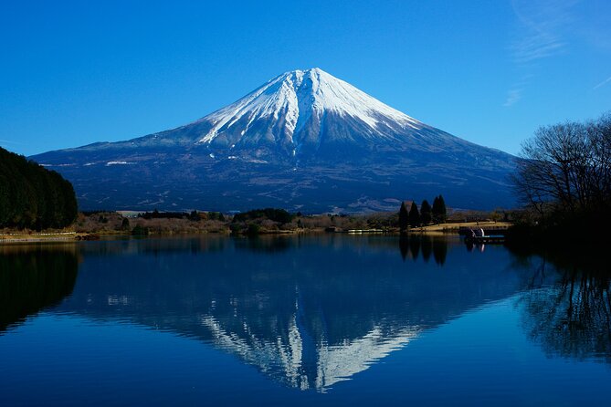 Best Mt Fuji and Hakone Full-Day Bus Tour From Tokyo - Itinerary Overview