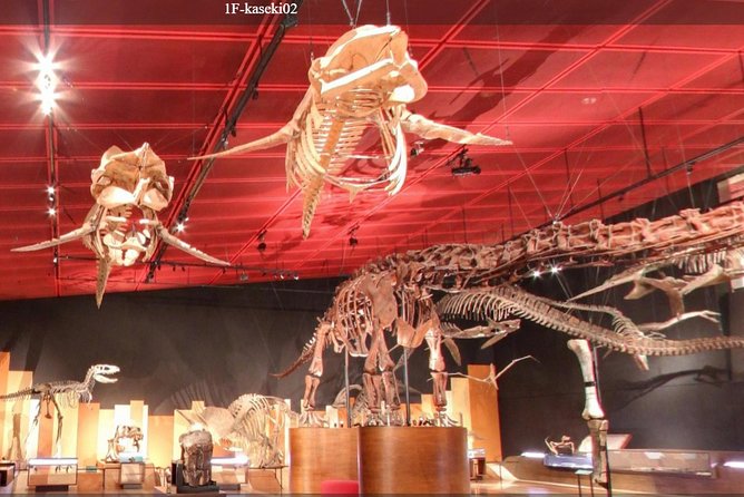 Coal & Fossil Museum Admission Ticket Overview and Features