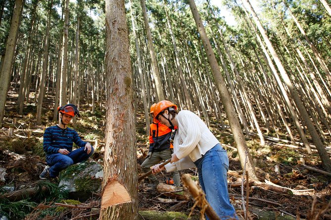 Discover Foresters Life Tour ( Day) Tour Details