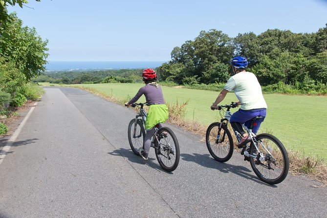 Downhill Biking Essential Gear for Downhill Biking