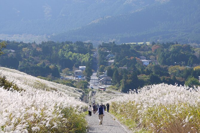 Easygoing Nature Walk in Hakone Tour - Inclusions and Meeting Point