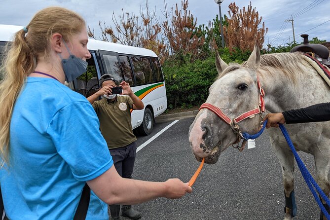Experience Horseback Riding With Samurai Costume in Japan Booking Details