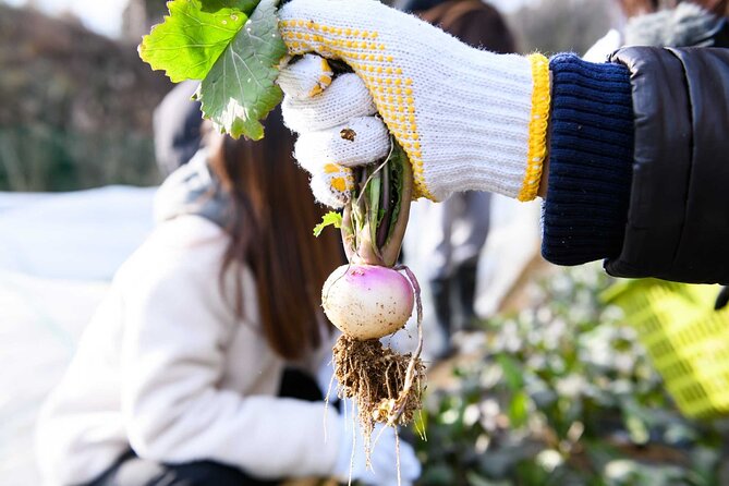 Farming Experience in a Beautiful Rural Village in Nara - The Charm of Rural Nara