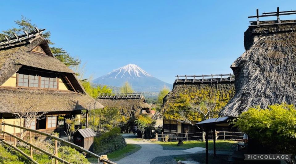 From Tokyo/Hakone/Fuji: Hakone & Mt. Fuji Day Trip W/Pickup - General Information