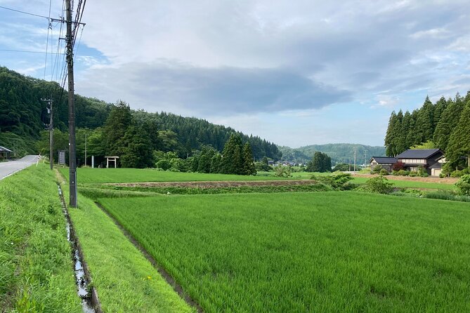 Full-Day Bicycle Tour on the Noto Peninsula - Tour Highlights