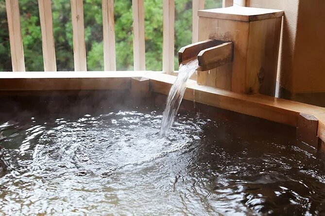 Full Day Enoura Observatory and Hakone Hot Spring Private Tour Tour Highlights