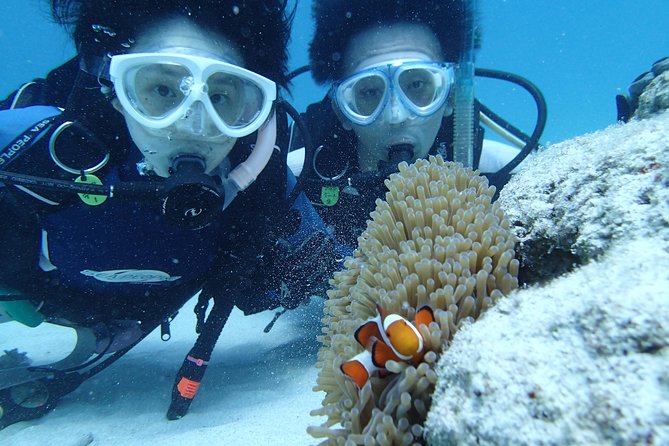 Full Day "Experience Diving" Trip at Kerama Islands Trip Overview