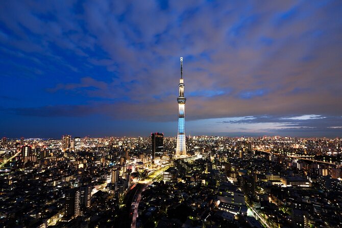 Full Day Private Luxury Tokyo Tour - Tour Inclusions and Amenities