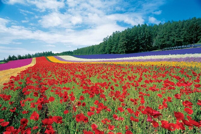 Furano & Biei 4 Hour Tour: English Speaking Driver Only, No Guide - Tour Details and Inclusions