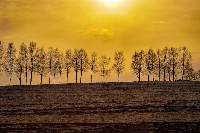 Furano Biei Tour Sapporo DEP: English Speaking Driver, No Guide - Pricing and Booking Details