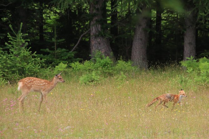 Furepe Waterfall Nature Walk - Inclusions and Rental Items
