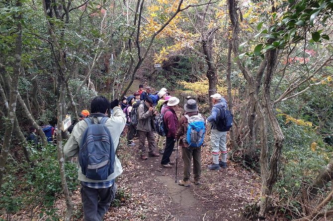 Granite Obelisk in Yakushima Full Day Trekking Tour Tour Highlights