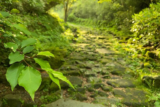 Hakone Old Tokaido Road and Volcano Half-Day Hiking Tour - Tour Details and Inclusions