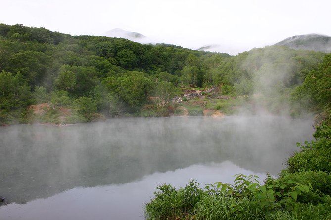Half Day Private Guided Japanese Hot Spring Experience Logistics