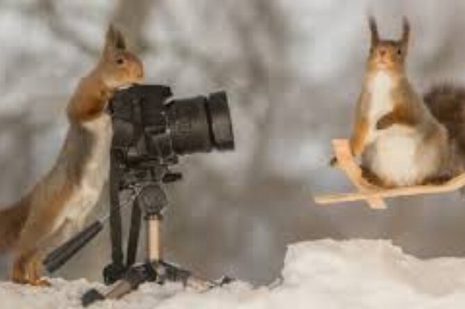 Half Day Winter Ski Adventure in Sapporo Ski Adventure Overview