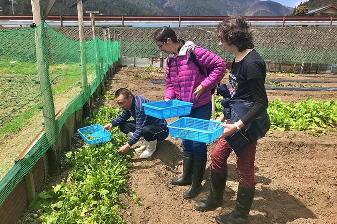 Hida Private E Bike Tour With Premium Lunch and Farm Experience Tour Overview and Features