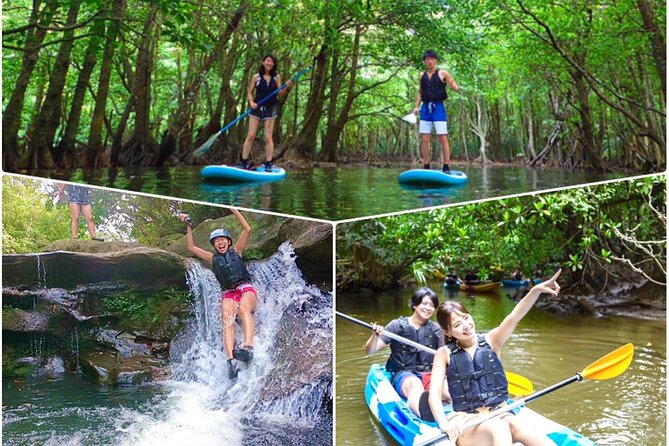 [Iriomote]SUP/Canoe Tour at Mangrove ForestSplash Canyoning!! - Tour Highlights