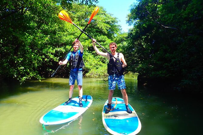 [Ishigaki]Mangrove SUP/Canoe Blue Cave Snorkeling Transportation and Infant Policy