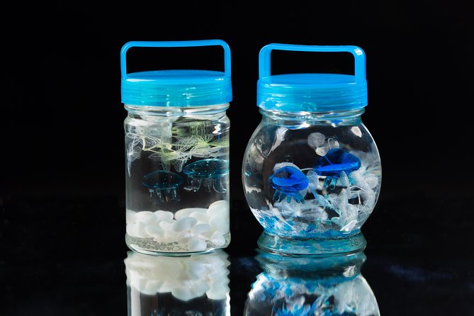 Kaiyukan Only! ! Handmade Jellyfishium Experience - Experience Details