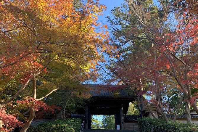 Kamakura Flower Tour Best Time to Visit Kamakura