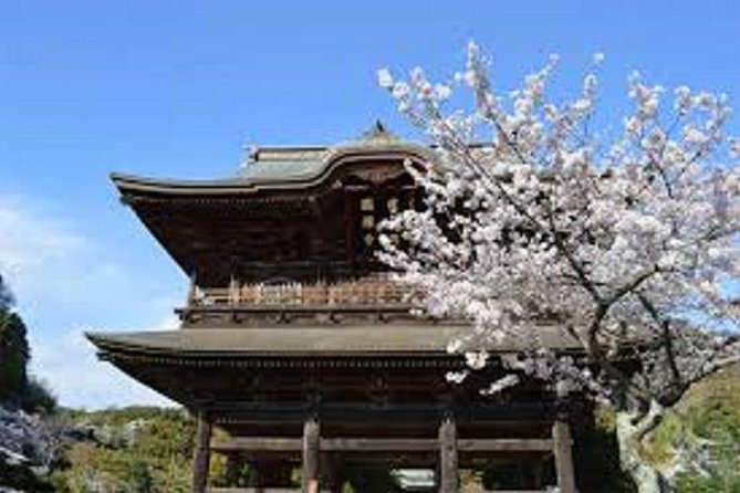Kamakura Private Custom Tour Tour Highlights