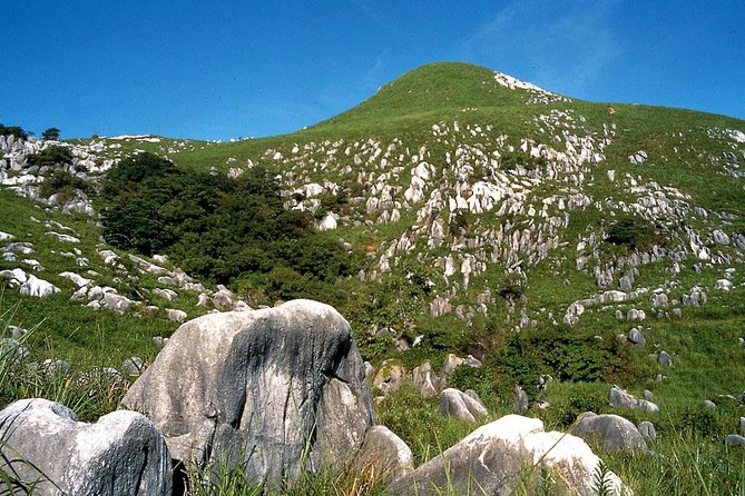 Kitakyushu Half Day Private Trip With Government Licensed Guide Trip Highlights