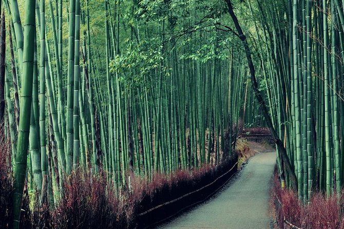 Kobe Shore Excursion to Kyoto - Trip Details