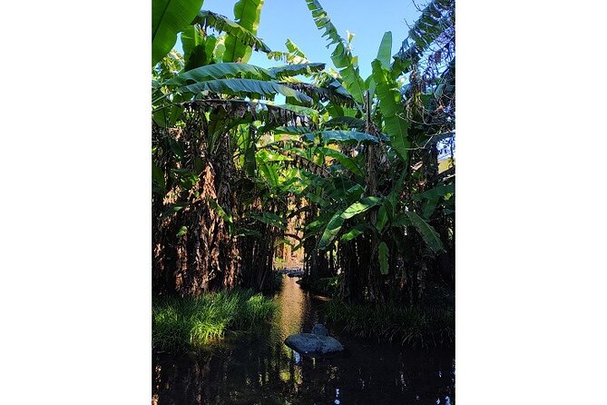 Kumamoto Lake, Kumamoto City Tour by Bicycle Scenic Beauty of Kumamoto Lake