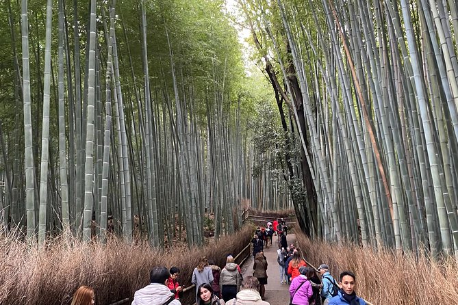 KYOTO NARA With Private Car & Driver (Max Pax) Service Details