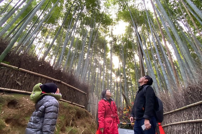 KYOTO NARA With Private Car & Driver (Max Pax) Tour Highlights