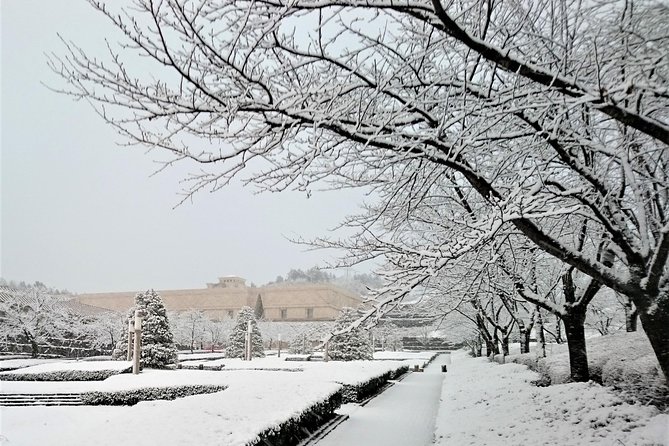 Light Museum - Traveler Photos and Reviews