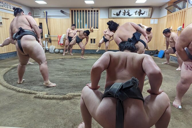 Morning Sumo Practice Viewing in Tokyo - Overview and Inclusions
