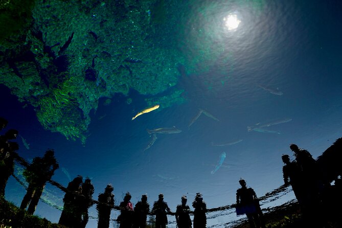 Mt Fuji :1-Day Private Tour With English-Speaking Driver - Pricing and Booking