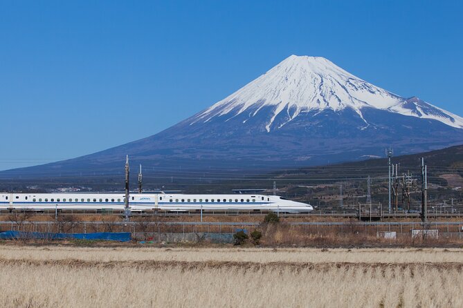 Mt. Fuji & Hakone Day Tour From Tokyo (Return by Bullet Train in Option） Tour Details and Pricing