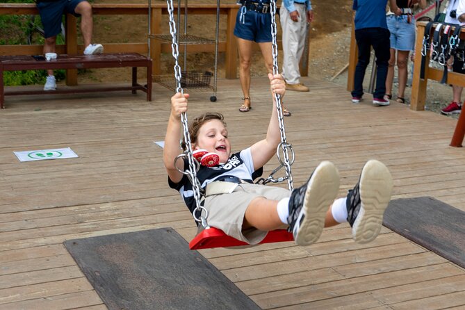 Mt. Fuji Private Sightseeing Tour With Local: From Tokyo Pickup Details and Cancellation Policy