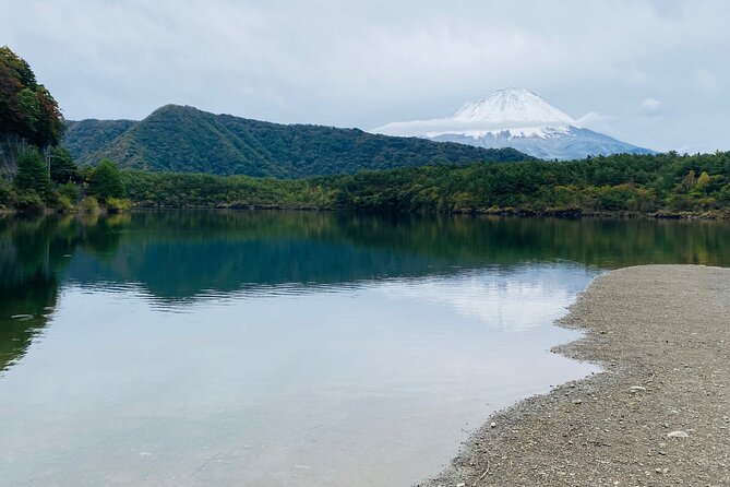 Mt. Fuji Private Sightseeing With Bilingual Chauffeur - Pricing and Booking