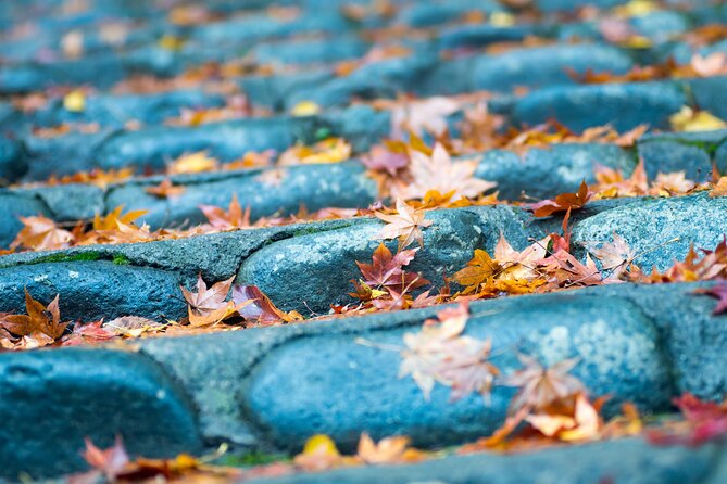 Mt.TAKAO Trekking 1 Day Tour - Best Time to Visit Mt.TAKAO