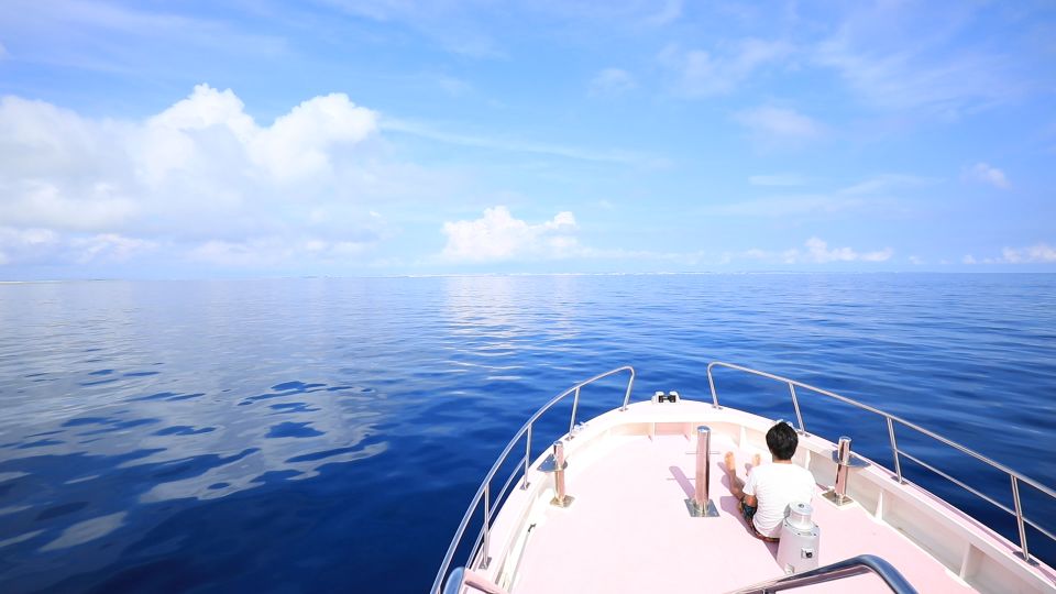 Naha, Okinawa: Kerama Islands Half-Day Whale Watching Tour - Activity Details