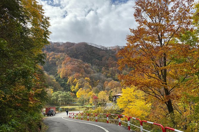 Niigata Custom Half Day Tour Tour Pricing and Booking Details