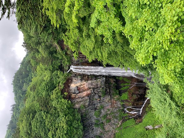 Nikko One Day Trip Guide With Private Transportation Pricing and Booking