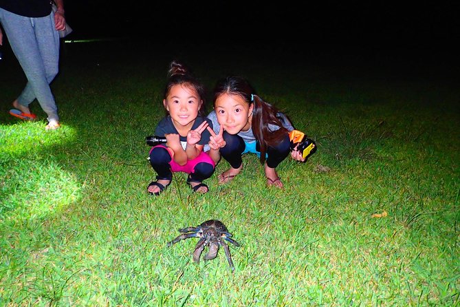 [Okinawa Iriomote] Night Adventure Tour Tour Highlights