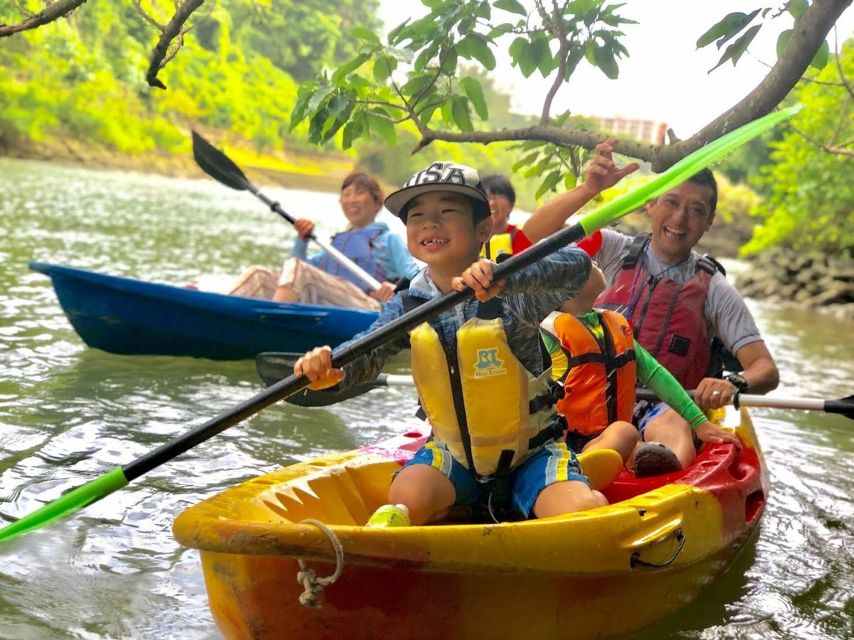 Okinawa: Mangrove Kayaking Tour - Activity Details