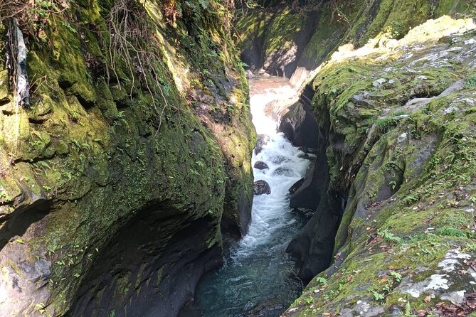 One Day Customized Kumamoto and Miyazaki Takachiho Tour Tour Highlights